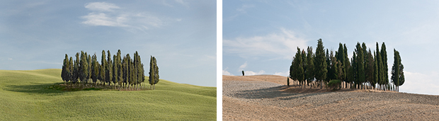 Clump - Before-After