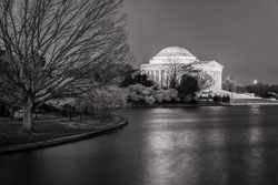 A Capitol Idea - B&W